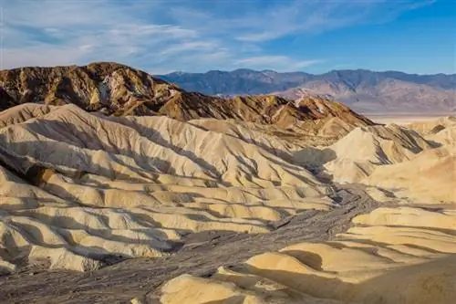 Образцы изображений Fuji XF 16-55mm f/2.8 (8)