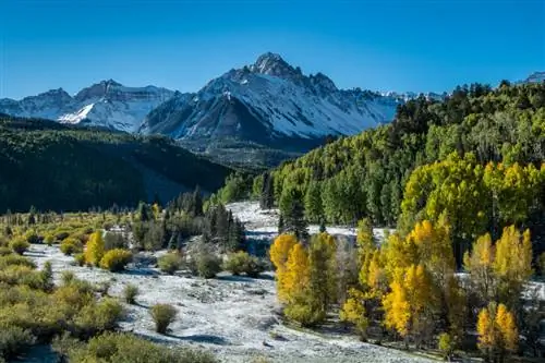 Образец изображения Fuji XC 16-50mm f/3,5-5,6 OIS № 7