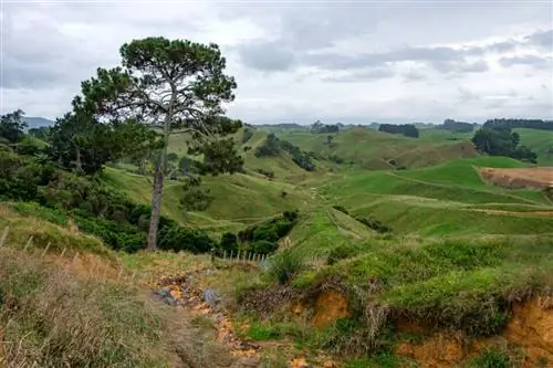 Образцы изображений Fuji X-T20 №1