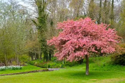 Образец Fuji XF 35mm f/1.4 (37)