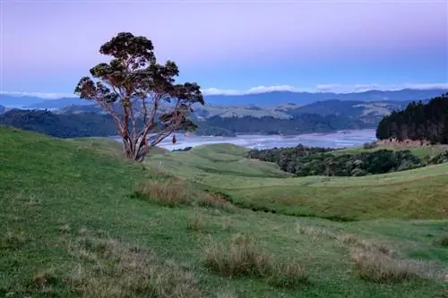 Образцы изображений Fuji X-T2 (2)