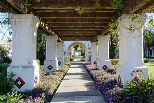 Образец Nikon D7100 (26)