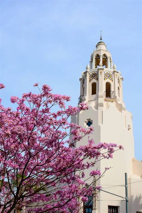 Образец Nikon D7100 (21)