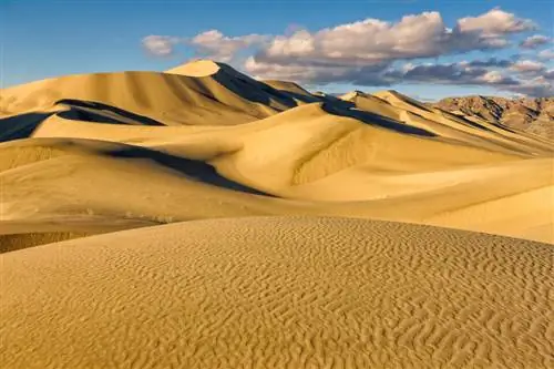 Пример изображения Sony RX100 IV (25)