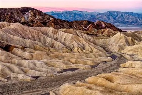 Пример изображения Sony RX100 IV (29)