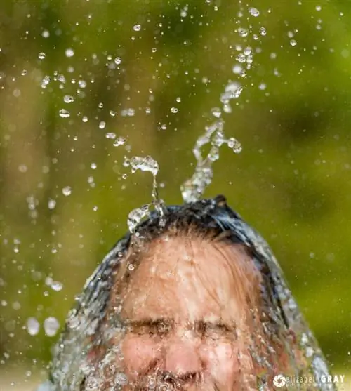 Лиза Всплеск2