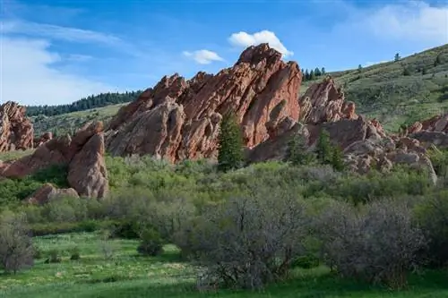 Образец Nikon 80-400 мм (8)