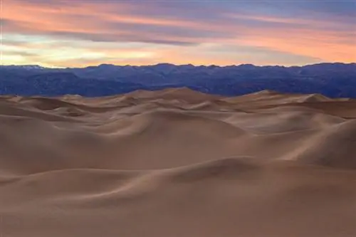 Пример изображения Nikon Z50 № 21