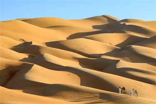 Пример изображения Nikon Z50 № 35