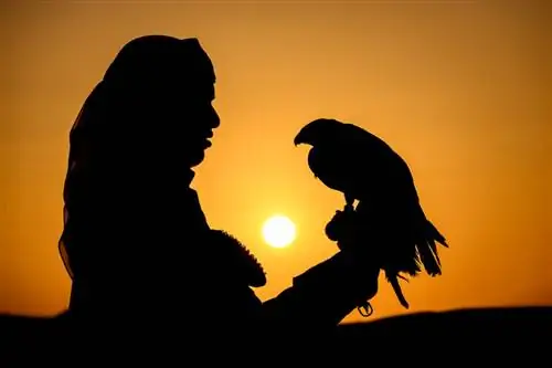 Пример изображения Nikon Z50 № 44