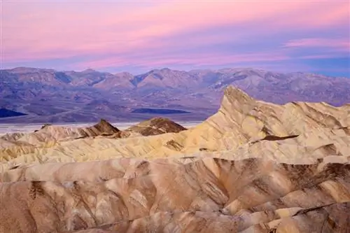 Пример изображения Nikon Z50 № 24