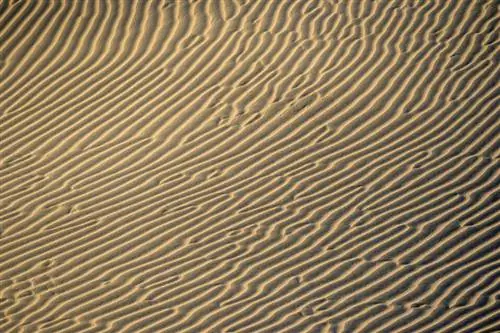 Пример изображения Nikon Z50 № 20