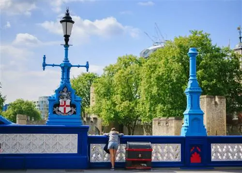 Образец изображения Sigma 50mm f/1.4 Art (40)