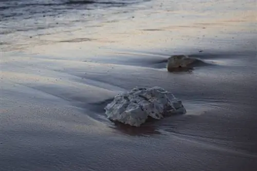 Образец фотографии Canon SL2 Beach