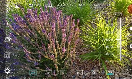 LG G4 Ручной баланс белого