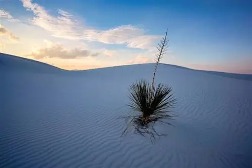 Обзор Lone Yucca Nikon Z 17-28mm f2.8