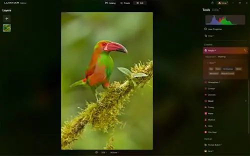 Ошибка AI маски_Luminar Neo