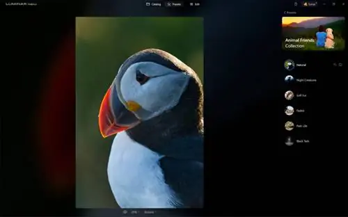 Пресеты_Luminar Neo