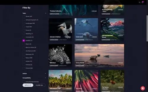 Пресеты для покупки_Luminar Neo