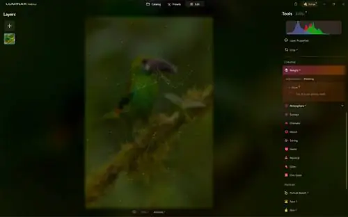 Маска AI в разработке_Luminar Neo
