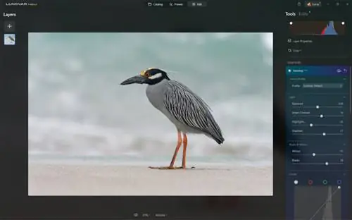 Инструмент разработки RAW_Luminar Neo