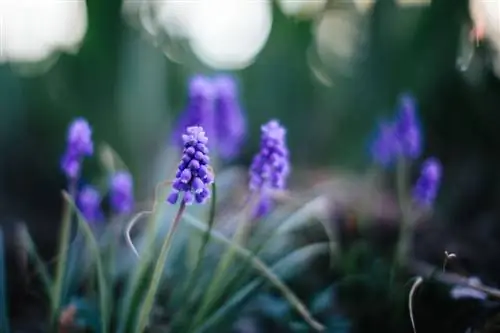 Образец Canon 5D Mark III (19)