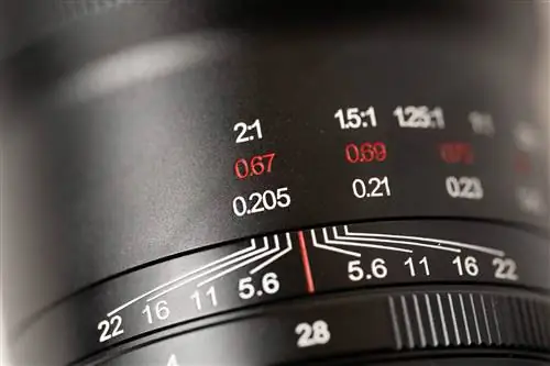 Обзор объектива Venus Optics 90mm f/2.8 Macro 2x в полевых условиях