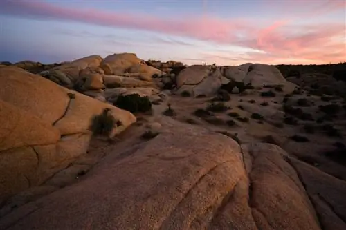 Nikon Z 14-30mm f4 S Пример фотографии 5