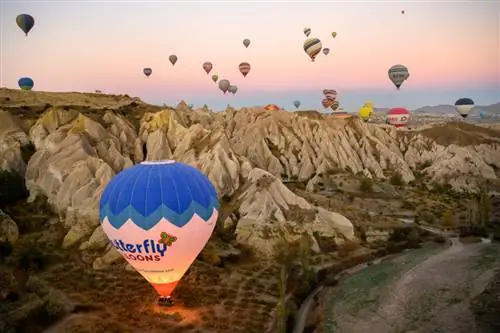 Образец изображения Nikon Z7 № 55