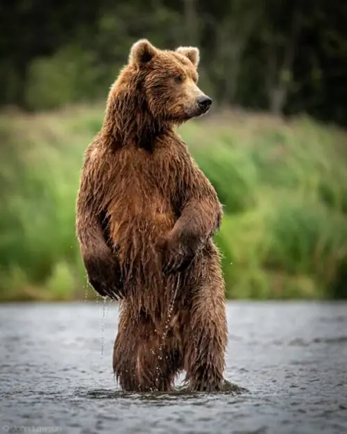 Nikon 180-400mm f/4E TC1.4 FL ED VR + TC Пример изображения № 15