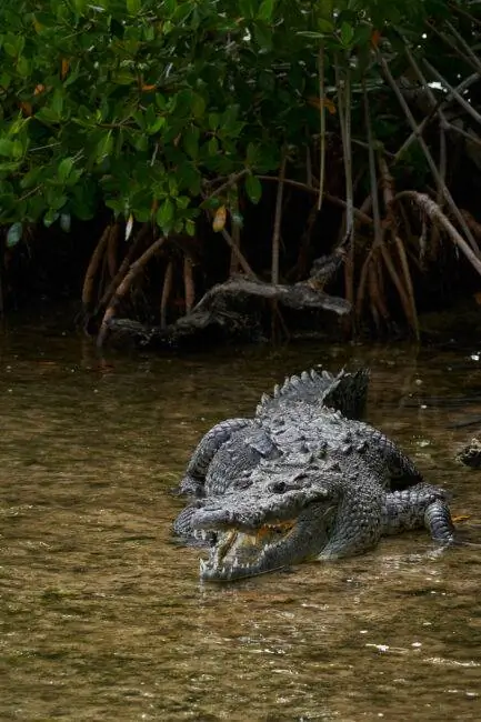 Изображение №9