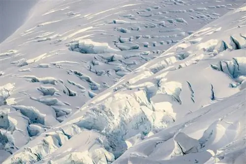 Образец изображения Nikon 70-200mm f2.8E FL VR (25)