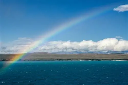 Образец изображения Nikon 70-200mm f2.8E FL VR (28)