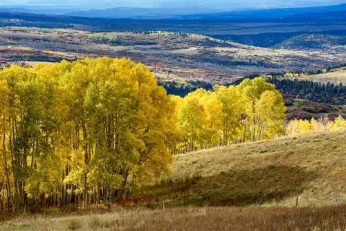 Образец изображения Nikon 105mm f1.4E (3)