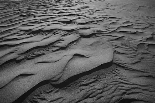 Детали черно-белого песка