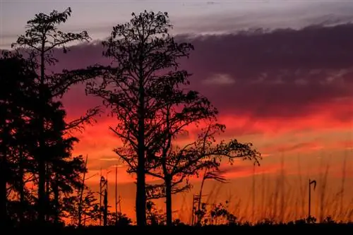 Обзор объектива Fuji 100-400_Закат