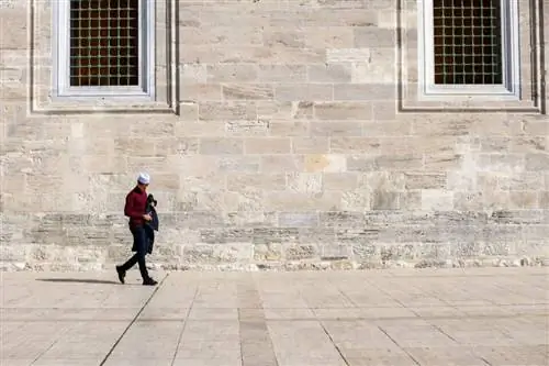 Образцы изображений Nikon 70-300 мм AF-P VR (28)