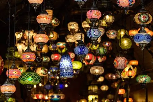 Образцы изображений Nikon 70-300 мм AF-P VR (34)