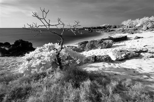 Болинао, Пангасинан №5