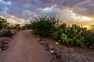 Хабуб на закате