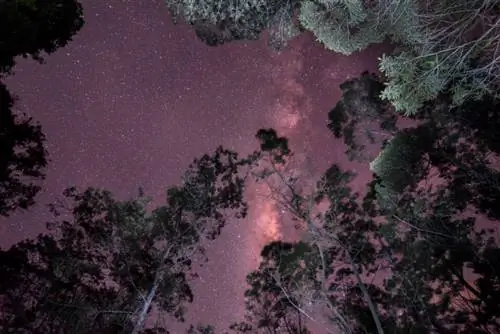 Тропа горы Сибаяк № 1