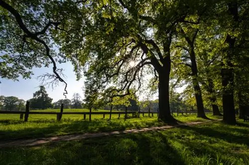 Тирпарк Сабабург 3