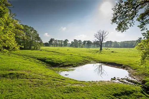 Тирпарк Сабабург