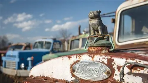 Кладбище старинных грузовиков № 4