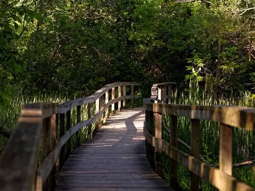 Парк у пруда Тугуд