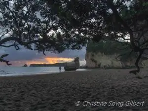 Фотография ПВП