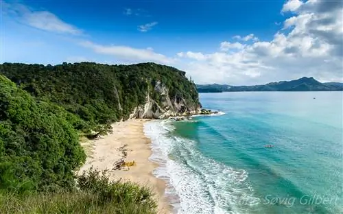 Скрытые пляжи Северного острова Новой Зеландии – Lonely Bay