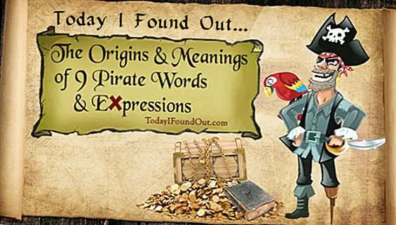 Происхождение и смысл 9 пиратских слов и выражений (наше первое видео на YouTube)