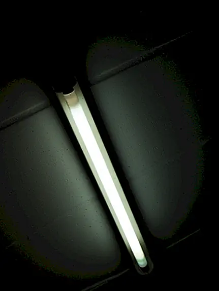 Как работают флуоресцентные лампы и почему они иногда являются шумными