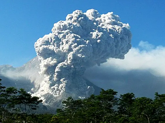 1816 год - год, который не был летом